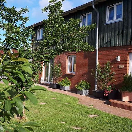 " Haus Zwischen Den Meeren " Strubbel Exterior foto